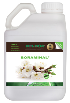 Boraminal