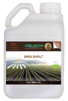 Delsol