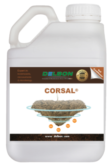 Corsal