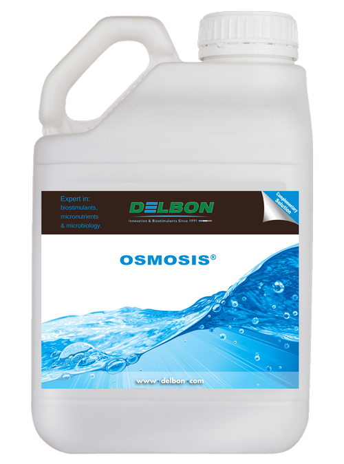 Osmosis