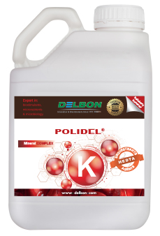 Polidel