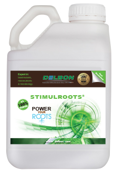 Stimulroots